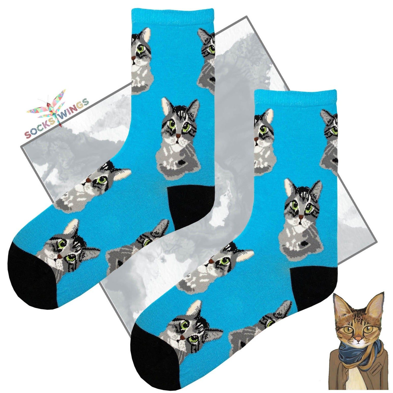 Katze Blaue Socken